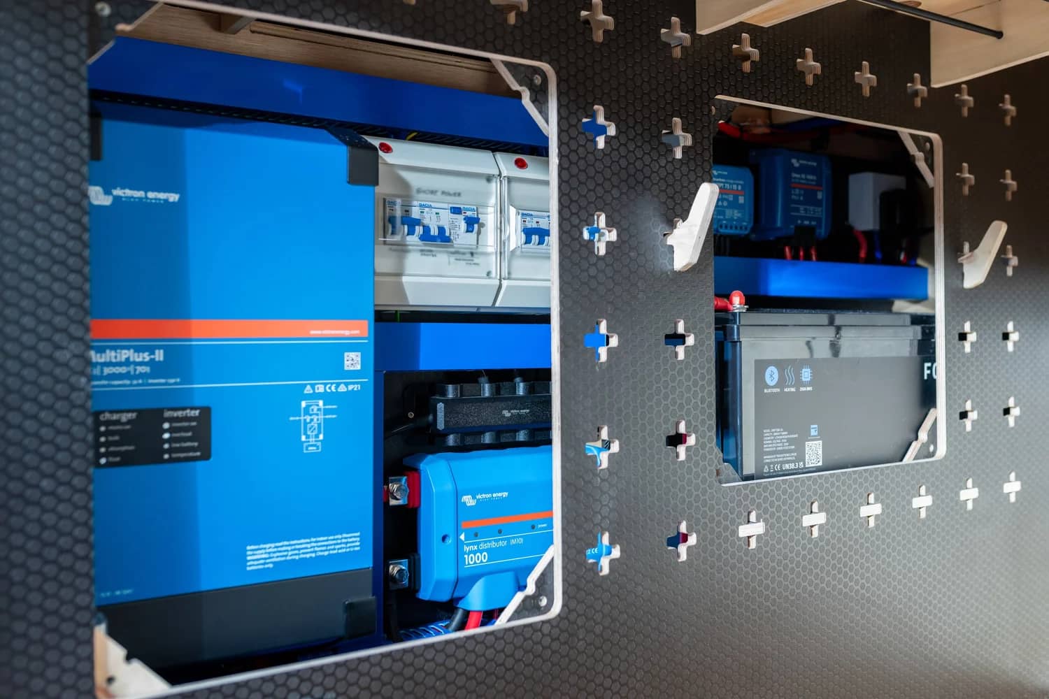 Fern Fox Duo image 14