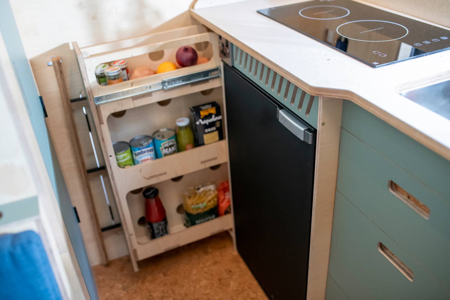 Fern Fox Duo image 20