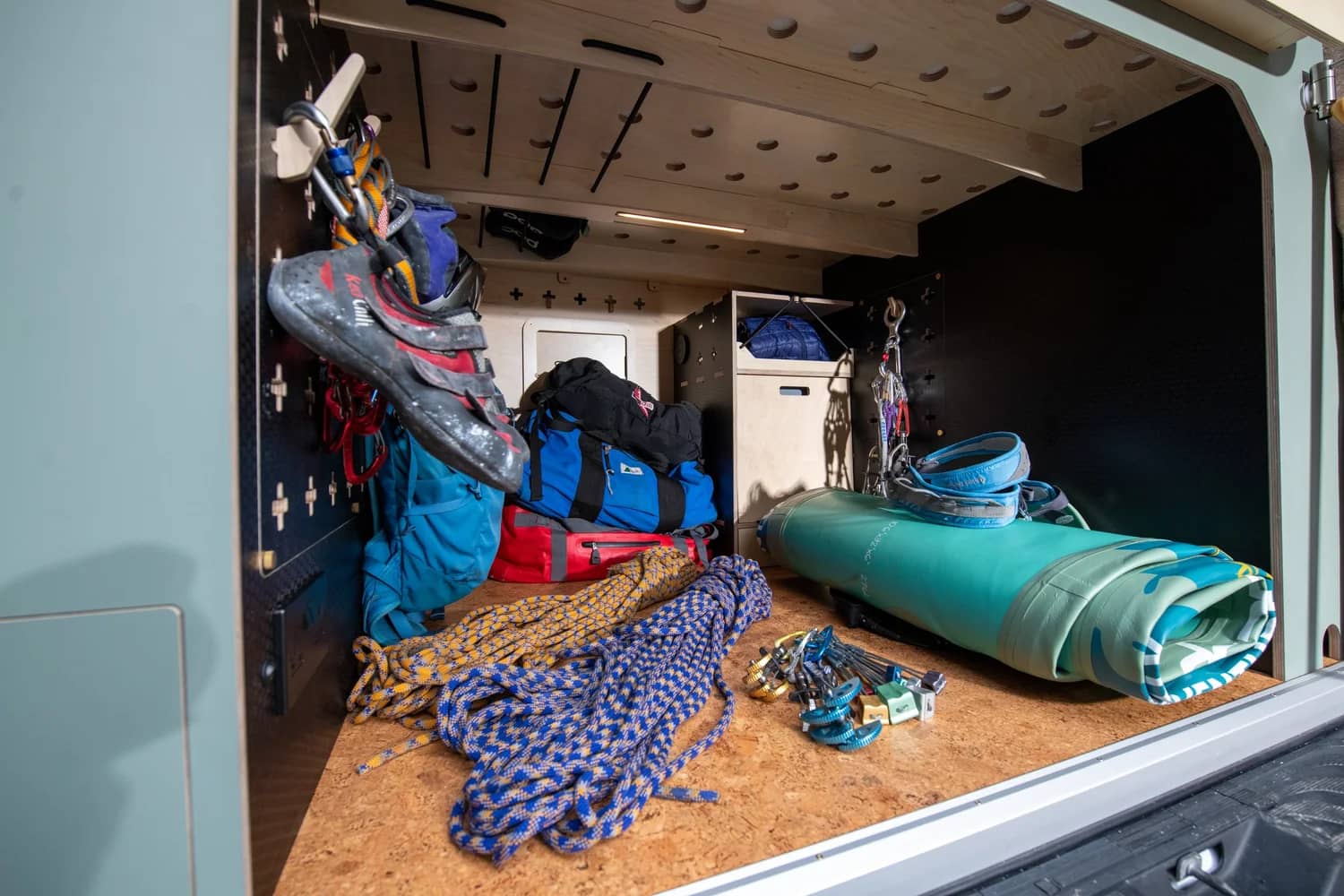 Fern Fox Duo image 8