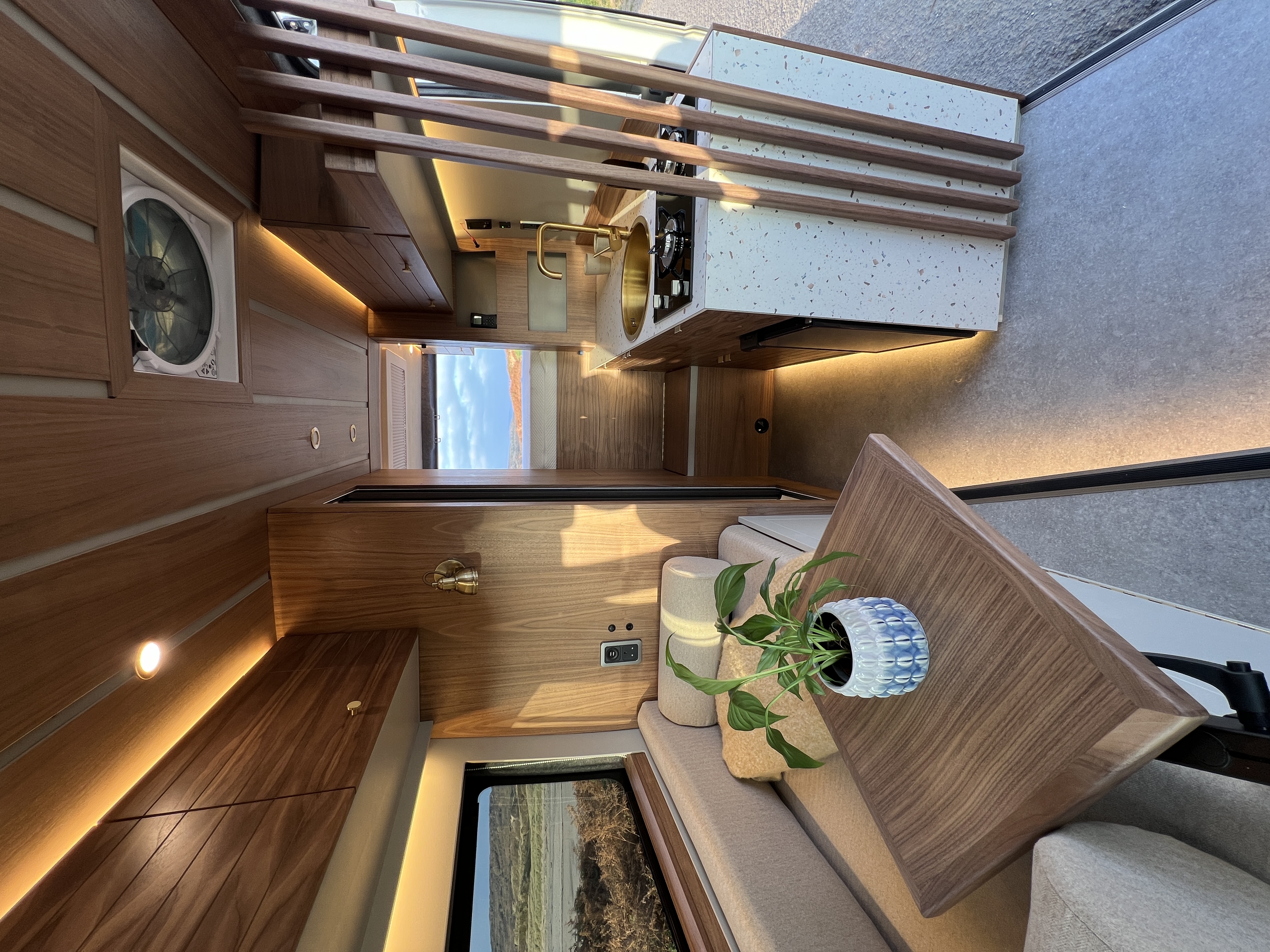 Luxurious Boxer photo