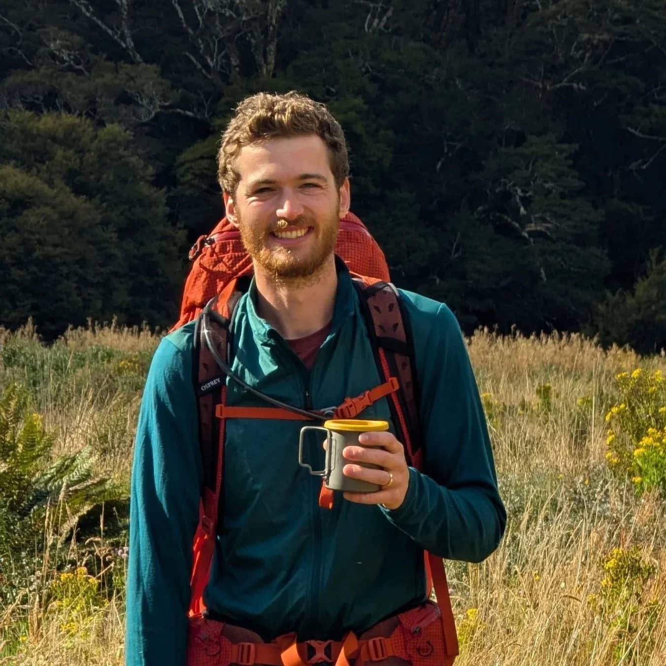 William - Chief Creative Officer