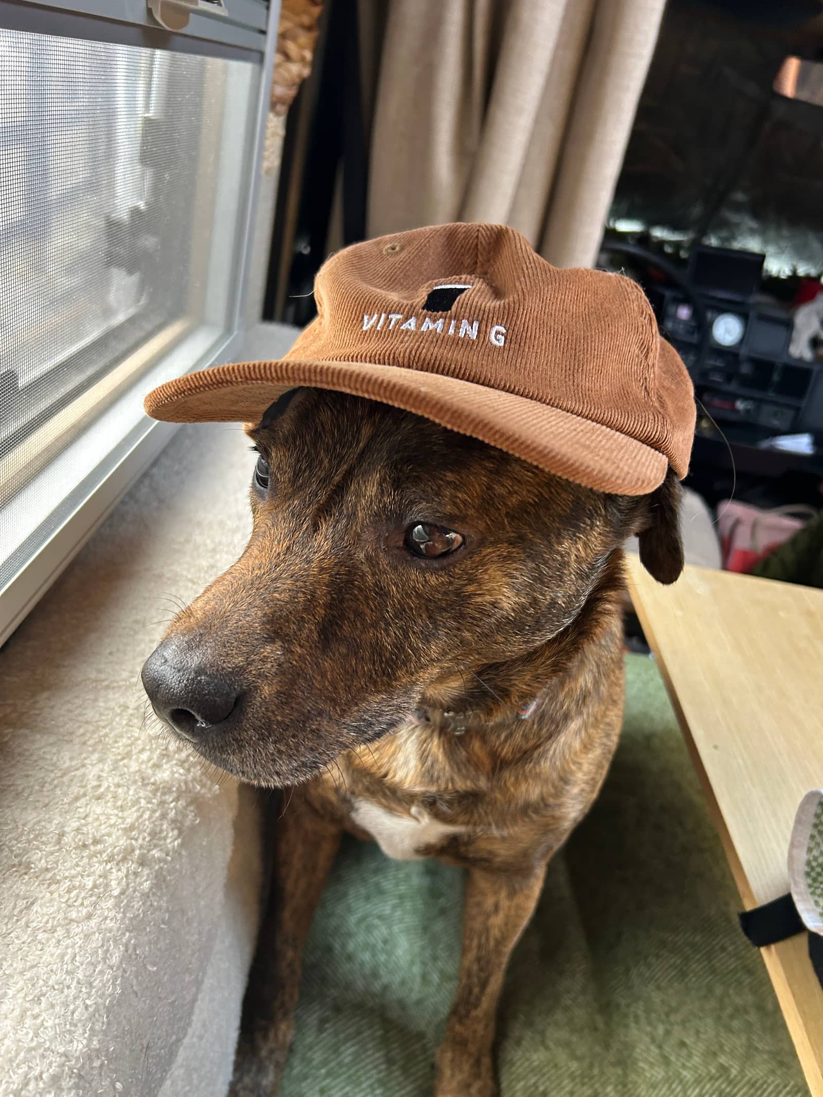 Gruff - Motivation Officer/ Recycling technician