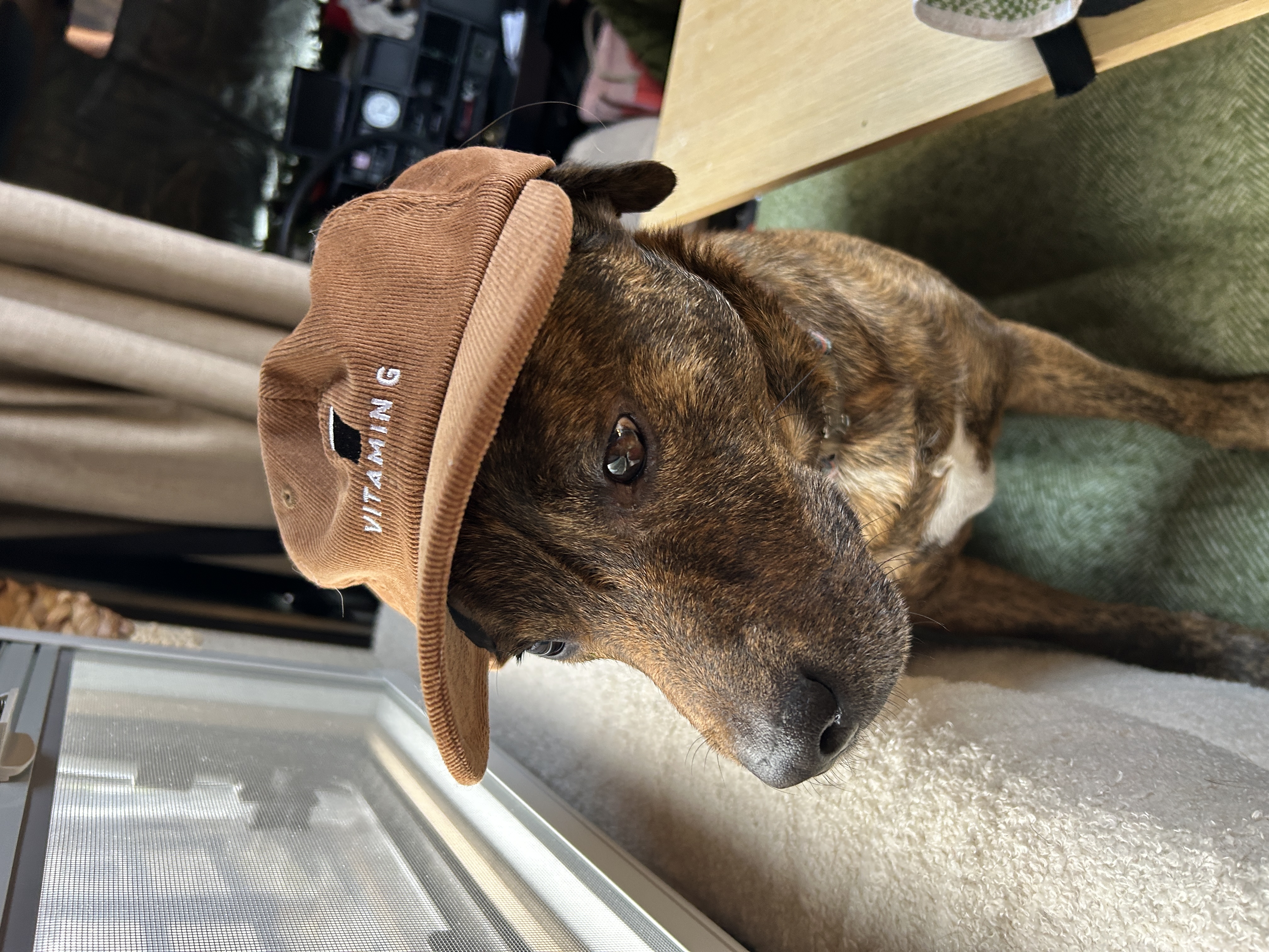 Gruff - Motivation Officer/ Recycling technician